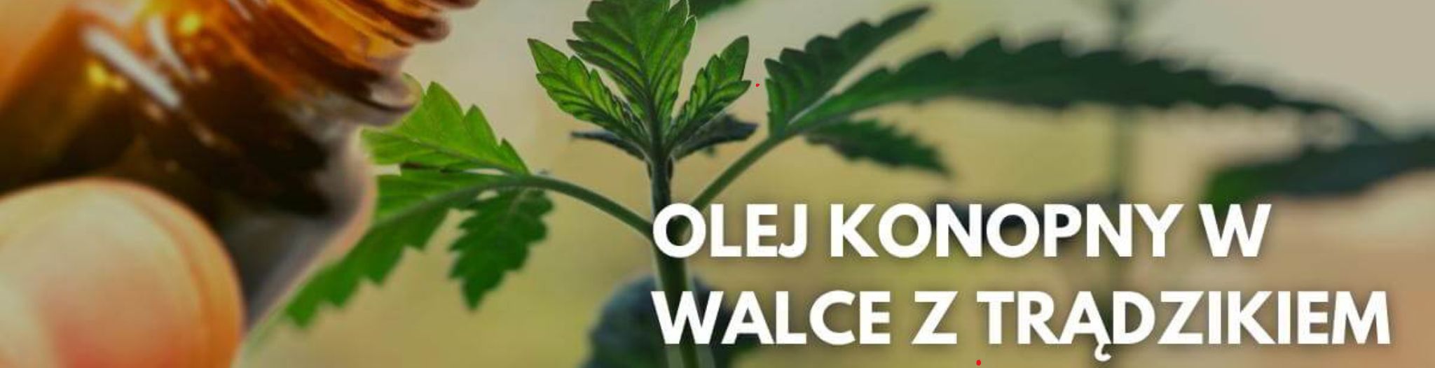 Olejek konopny na trądzik.jpg